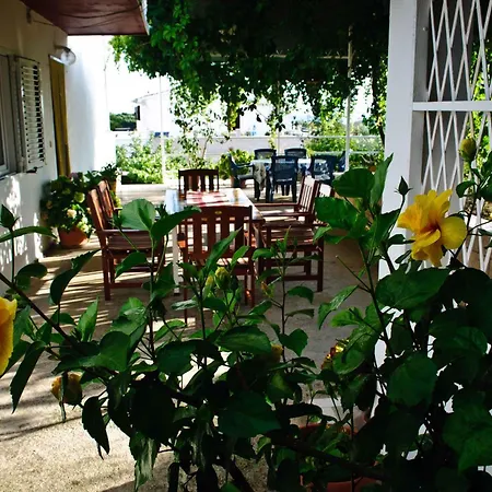 House Iliskovic